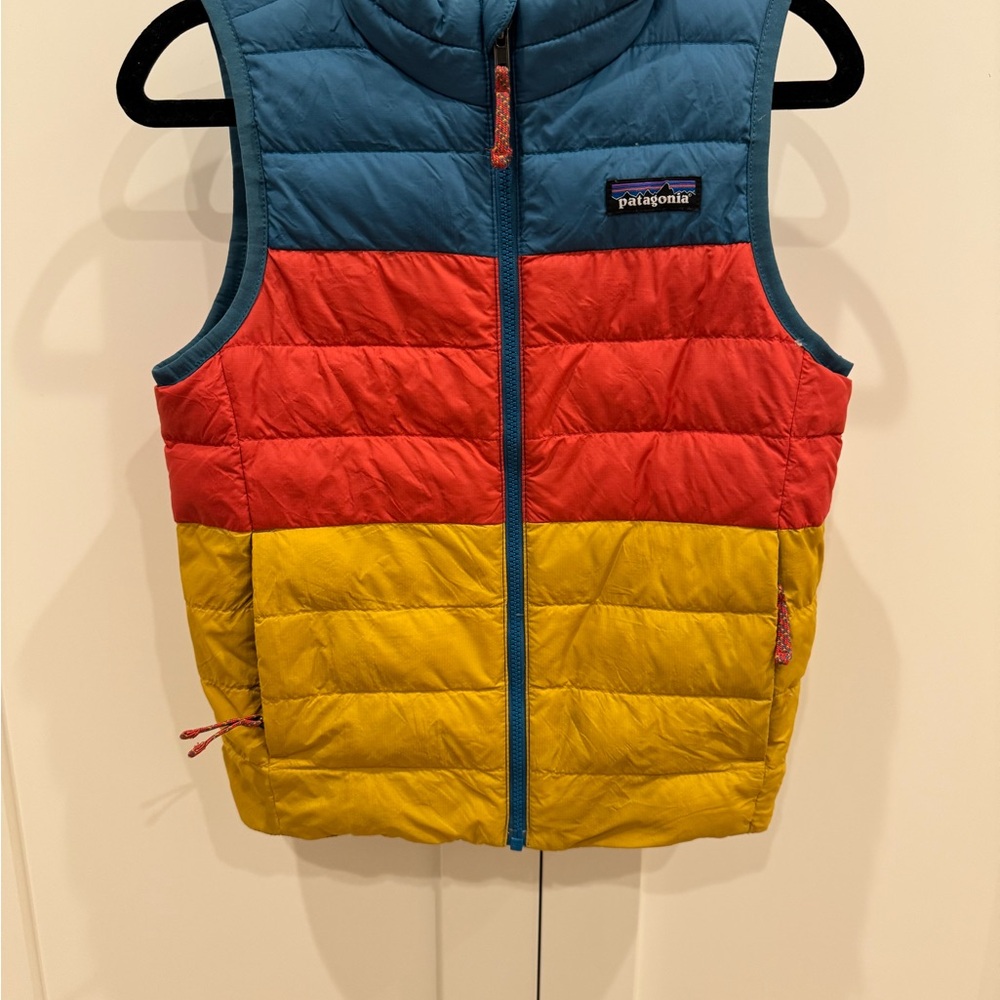Patagonia Kids Fun Hogs Jacket